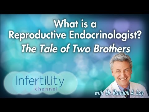 Understanding the Role of a Reproductive Endocrinologist post thumbnail image