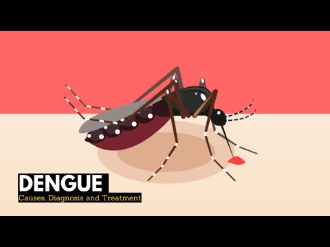 Dengue Fever: Key Symptoms, Causes, and Treatments Explained