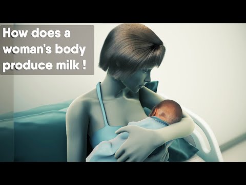 Understanding Breast Ducts and Mammary Glands for Better Health