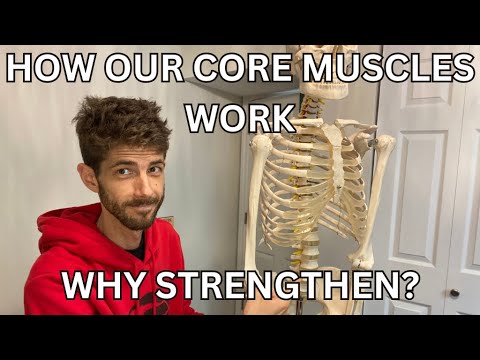 Understanding Abdominal Muscles: Health, Care, and Wellness