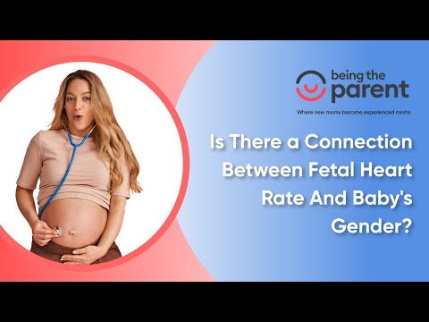 Baby Heart Rate: Can It Reveal Your Baby's Gender?