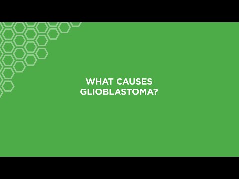 Understanding Brain Cancer and the Challenge of Gliomas