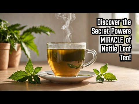 Nettle Leaf Tea: Benefits for Health and Wellness Explored