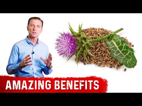 A Comprehensive Look at Milk Thistle: Benefits and Risks