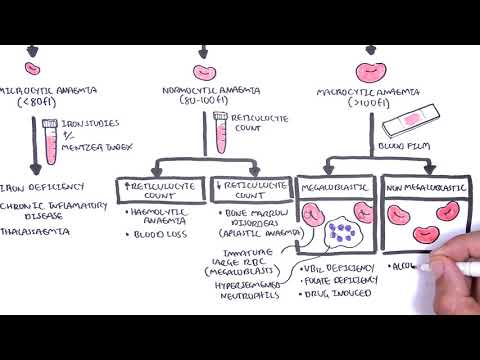 Understanding Microcytic Anemia: Causes, Symptoms, and Solutions