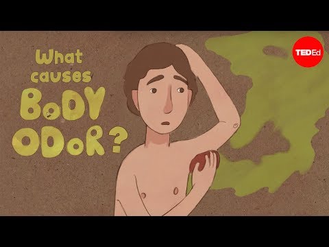 Understanding Smelly Armpits: Causes, Prevention, and Care