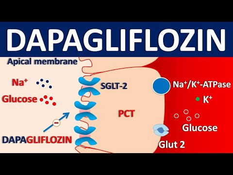 Dapagliflozin Oral: Uses, Side Effects, and Interactions Revealed