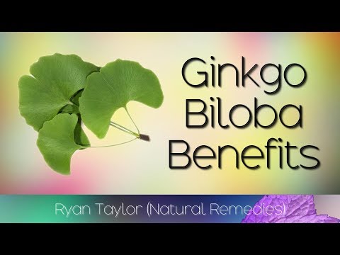 Ginkgo Biloba: Harnessing Its Benefits and Safe Use