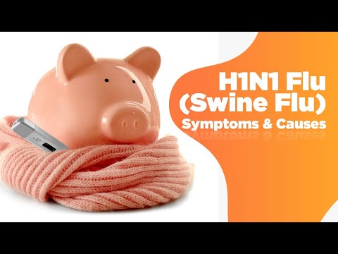 Swine Flu Insights: Key Risks, Causes, and Symptoms Revealed