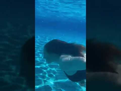 Swimming on Your Period: What You Should Consider