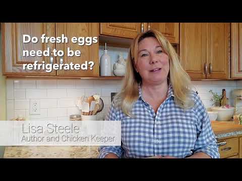 How Long Can You Keep Eggs Before They Spoil?