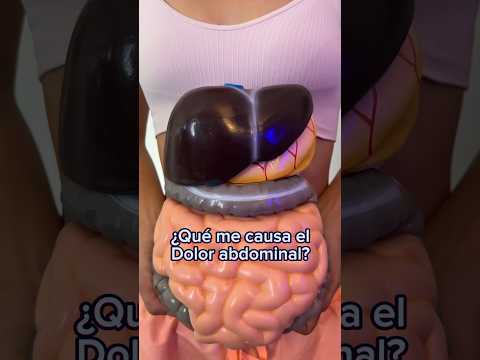 Dolor abdominal: Comprende causas, tipos y cómo prevenirlo