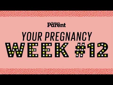 Your 12-Week Ultrasound: What to Expect and Insights