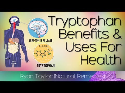 Nutrition Boost: Foods High in Tryptophan for Your Health