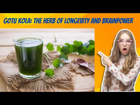 Gotu Kola: Key Benefits, Risks, and Wellness Precautions post thumbnail image