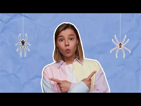 When to Stress Over a Spider Bite and When to Relax
