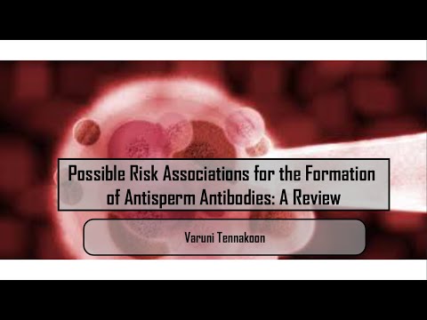 Understanding Antisperm Antibodies: Formation and Diagnosis