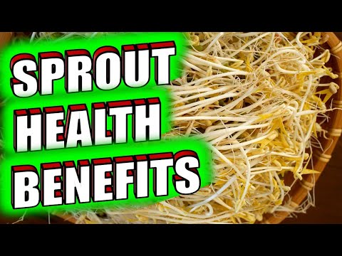 Raw Sprouts: Nourishing Perks and Hidden Risks Revealed