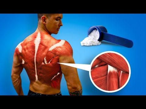 Is Your Creatine Safe? Understanding Its Shelf Life