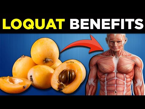 Discover the Health Benefits of Loquat for Disease Prevention