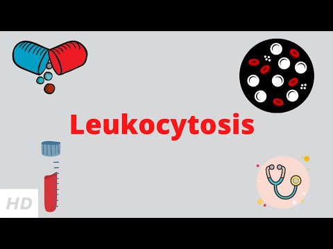 Understanding Polymorphonuclear Leukocytes in Your Health