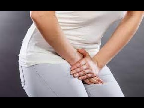 Is the Penis a Muscle or an Organ? 10 Key Health Insights