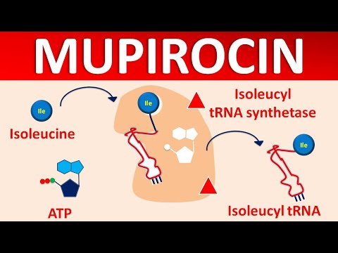 Understanding Bactroban Nasal Ointment: Uses and Side Effects post thumbnail image