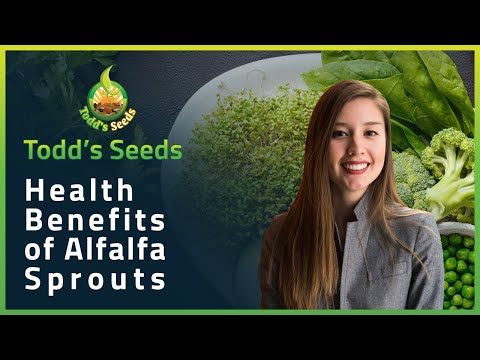 Understanding the Health Benefits of Alfalfa for Wellness