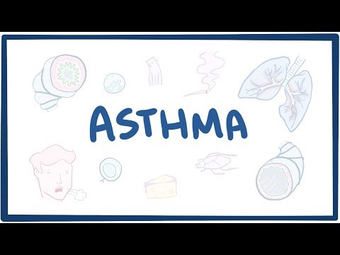 Understanding the Key Signs and Symptoms of Asthma
