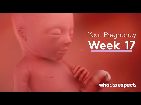 Pregnancy Milestones: Highlights from Weeks 17 to 20 post thumbnail image