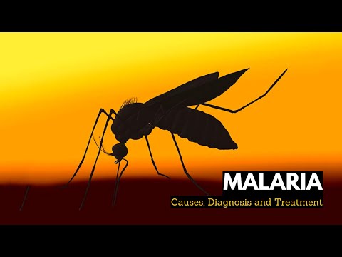 Understanding Malaria: Symptoms and Types Explained post thumbnail image