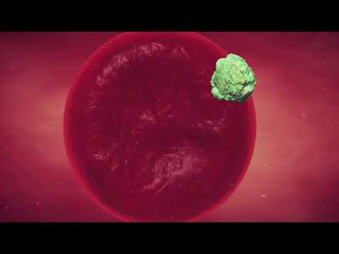Hepatitis C: Understanding the Virus and Its Effects
