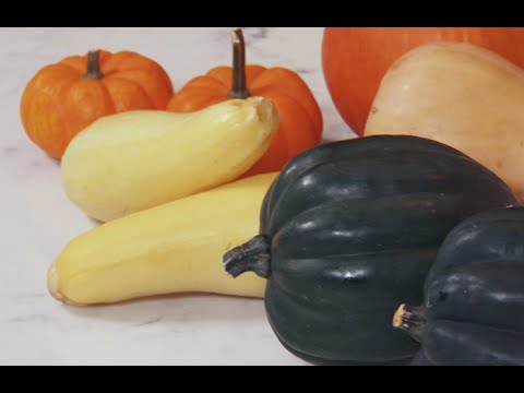 Butternut Squash Benefits for Health: Nutrition and Care Tips