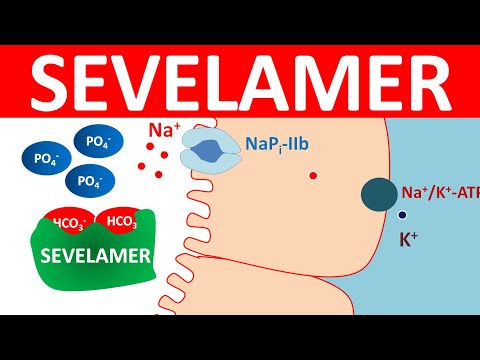 Sevelamer HCl Oral: Benefits, Risks, and Interactions Explained