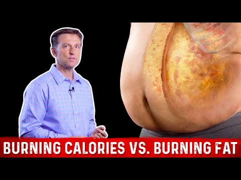 Calculate Calories Burned with Everyday Exercises Today