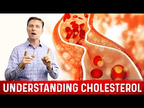 Understanding Cholesterol Levels Across Different Ages