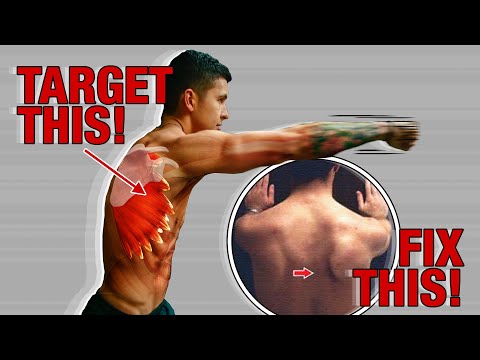 Understanding Serratus Anterior Muscle: Role and Relief Techniques