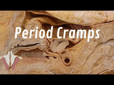 Understanding Period Cramps: Symptoms and What to Expect
