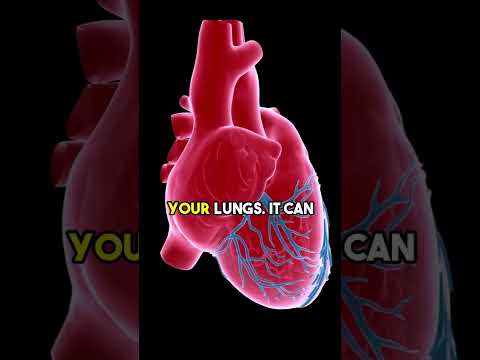 High Blood Pressure: Understanding Risks, Causes, and Care
