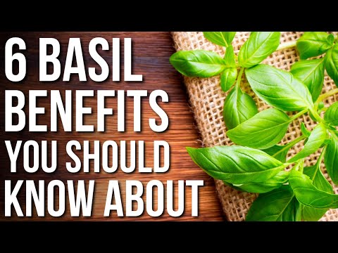 Discover the Health Benefits of Basil for Wellness and Care