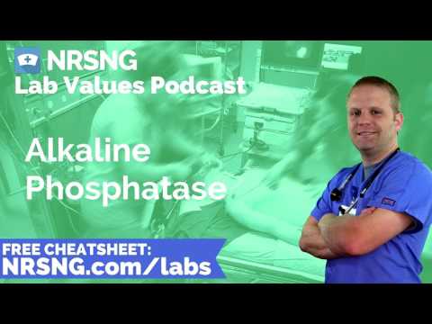 Understanding Alkaline Phosphatase: Tests and Results Explained