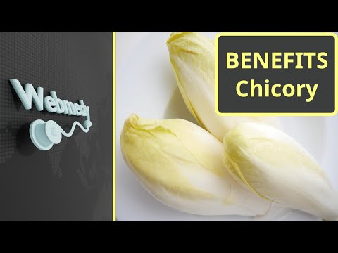 Chicory: Benefits, Risks, and Fascinating Insights