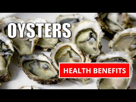 Are Oysters a Healthy Choice for Nutrition and Wellness?