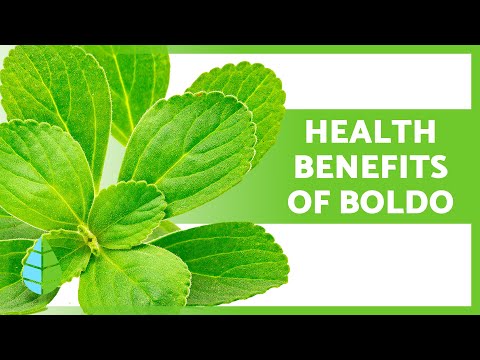 Boldo Tea: Understanding Its Health Benefits and Risks