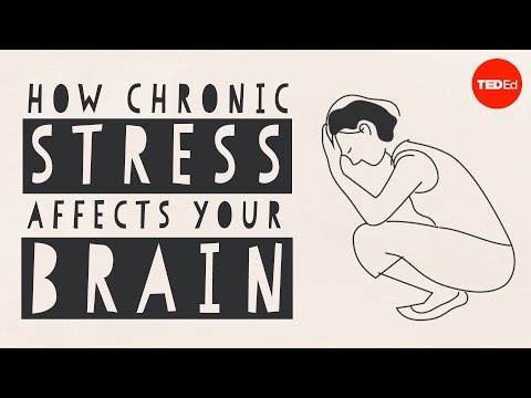 Understanding Common Stressors and Their Health Impacts