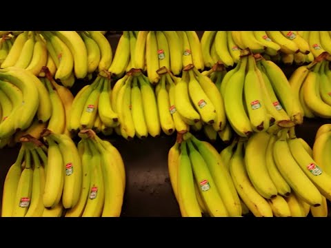 Uncover the Health Benefits of Banana Peel for Wellness post thumbnail image