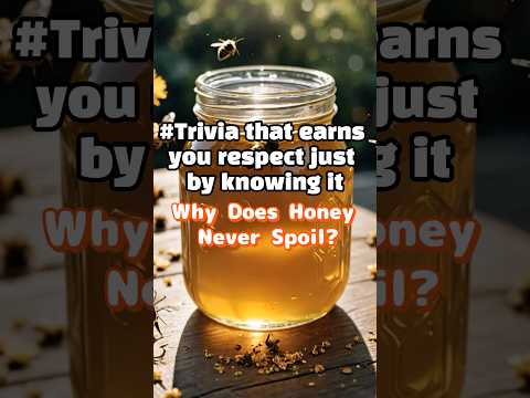 Does Honey Go Bad? Key Facts You Should Know