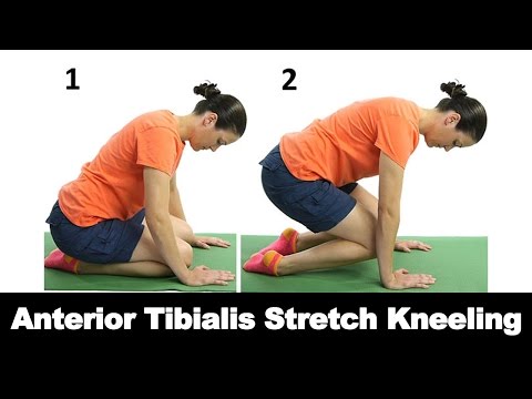 Strengthen Your Anterior Tibialis: 8 Key Exercises and Stretches