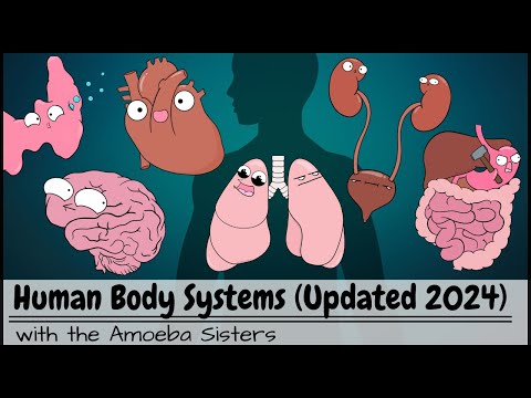 Understanding the Largest Organ: Facts for Your Health