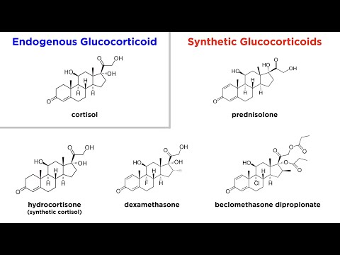 Understanding Glucocorticoids: Uses, Risks, and Effects post thumbnail image
